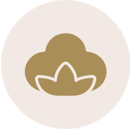 [object Object]Dear Eco